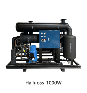 Hailuoss-1000W
